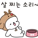 일상담미 성수점