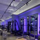 파워 스트레칭 | 오송 쿠키짐 후기｜공간부터 기구 구성까지, 운동 흐름이 자연스러운 헬스장