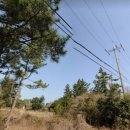 덕수교차로(평화로) 이미지