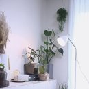 라온닷컴 이미지