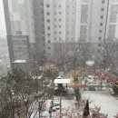 KGB택배 | KGB 천안아산점 이삿짐 센터 이용 후기!