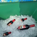 순천고등학교 | [HOT] 순고인들 어프로치 실력 실화? (1879 미니와인 싹쓸이 현장)