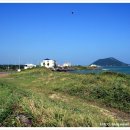 시흥리-6 이미지