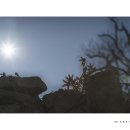 별바라기 이미지