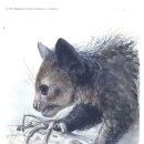 아이아이 이미지