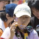 보성초교 이미지