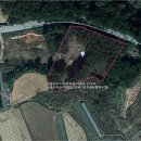 낙동리 석조여래입상 이미지