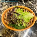 마블스퀘어 명지점 | 명지스타필드맛집 청계옥 명지 리얼 후기