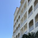 금호펜션 | 제주 금호리조트 수영장 스위트 프리미어 후기(+요금, 시간)