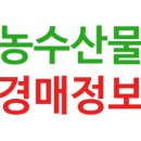 대흥축산 | 가락동 수산시장 시세(대게시세, 대흥수산 횟집 및 포장후기, 새우와 꽃게 먹은 후기)