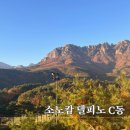 소노캄 호텔 델피노 | 속초 울산바위뷰 끝판왕 소노캄 델피노C동 솔직후기