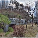 고창흥덕부동산중개 | 흥덕구부동산 미소로 행복한 내 집 마련 후기