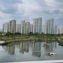 로쏘폴라레 이미지