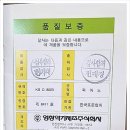 업라이트 이미지