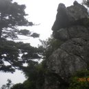 해발 1915m 智異山 天王峰을 다녀왔습니다 이미지