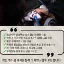 새록뷰티