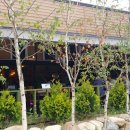 명이몽 | 포천 떡갈비 맛집 명이몽 다녀왔어요^^