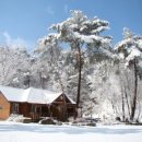 국립용화산자연휴양림 | 전자휴 용화산 자연휴양림