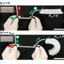 소프트안 이미지