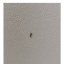 청춘청소방역 이미지