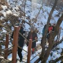 축령산아침 이미지