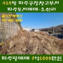 양지바른공인중개사사무소 이미지