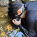 청강수반딧불이민박 이미지