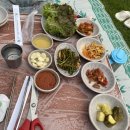 금남멧돼지 이미지