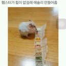 슐리 이미지