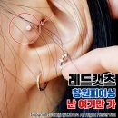 레드캣츠 | 창원피어싱 레드캣츠 귀뚫은지 한달 후기