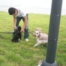 말티와 꼬꼬 이미지