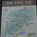 제46차 경주 남산/감포 일원 - 1. 경주 남산 삼릉계곡(1) 이미지