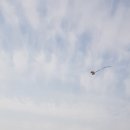 태조산 공원 이미지