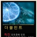 기호전자매장