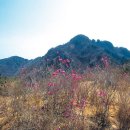 산방산