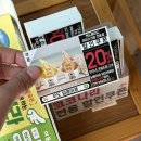 재도 | 우도 가볼만한곳 스쿠터 대여부터 달콤아재 땅콩 아이스크림까지 코스 끝내주는 코코나라