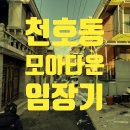 모아부동산중개사무소 이미지