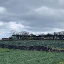 하가리집 이미지