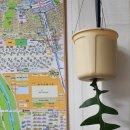 개포사랑공인중개사사무소 이미지