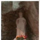 ER-25[호남고속도로]-하-700 | 늦겨울 산사 나들이 ~ 계룡산 갑사 (갑사계곡, 숲길)