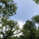 천지인로173번길 이미지