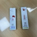 효성이비인후과의원 | 태국여행 후 뎅기열 확진 - 뎅기열키트 청주공항 무료검사 증상 회복기간