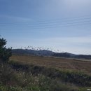 이원호 태양광발전소 이미지