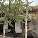 달단지스테이 이미지