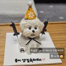 몽니크 이미지