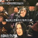 짤방커트 이미지