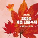 [살랑살랑 가을바람 불어오는 11월, 전국 가볼만한 축제 정보] 이미지