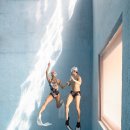 프리다이브나우