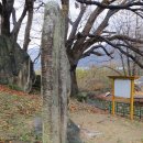 비중리 석조광배飛中里 石造光背 이미지