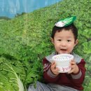 머리하고놀자 이미지